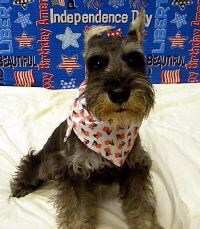 Pepper July 10.jpg
